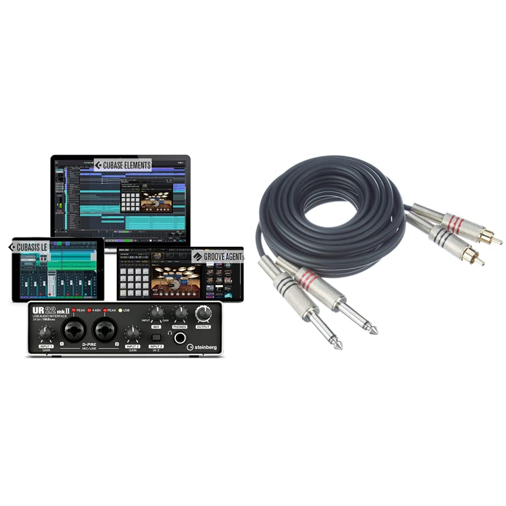 Steinberg UR22mkII Value Edition UR22mkII USB 2.0 Audio Interface 