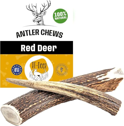 RF-Deer Hundesnack Rothirsch Geweih Kausnack - XXL Hard Plus, Hirschgeweih für Hunde, 100% Natürlicher, Kauspielzeug Hund, Hundespielzeug Kauknochen für Genuss und Zahnpflege - 1 Stück