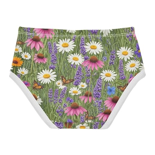 Girls Underwear Toddler 2t Cotton Panties for Girl Animal Briefs Girls Undies Vibrant Wildflowers Purple Butterflies2