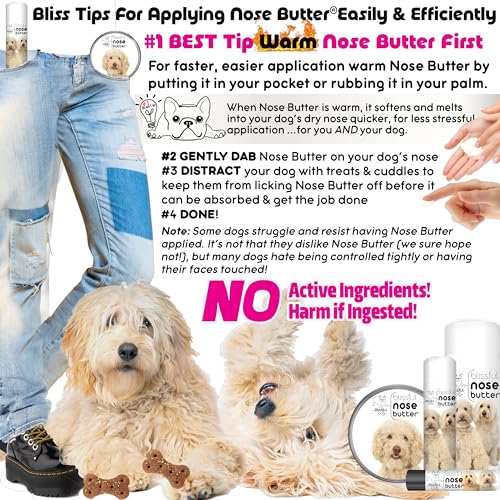 Image of The Blissful Dog Goldendoodle Unscented Nose Butter, 4-Ounce