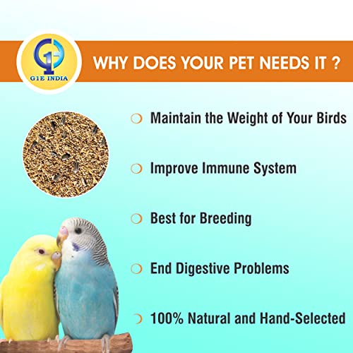 Image of Hand-Selected Seed Mix for All Life Stages Dry Bird Food for Little Birds - Little Birds Mix Seeds 900 Grams - Pack of 4 (3600 Grams)