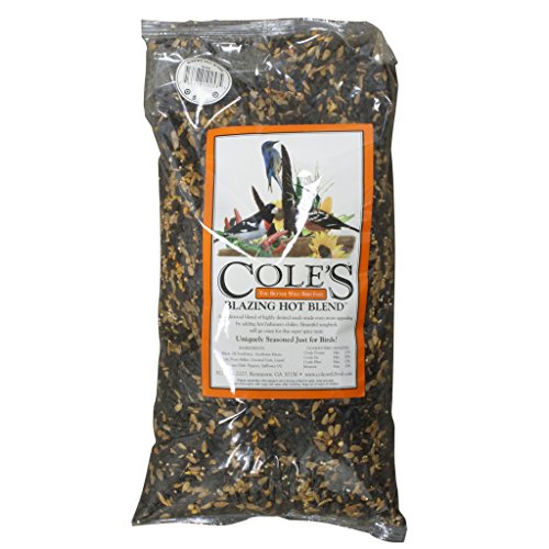 5LB Hot Blend Bird Food