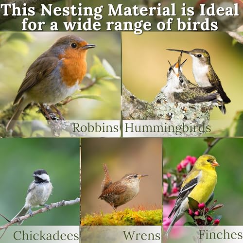 Image of Hummingbird Nesters Bird Nesting Material Holder for Wild Birds Humming Bird House Materials Gifts for Bird Watching Nature Lovers Refillable Outdoor Bird Station (3 Balls Safe Nesting Starter Kit)