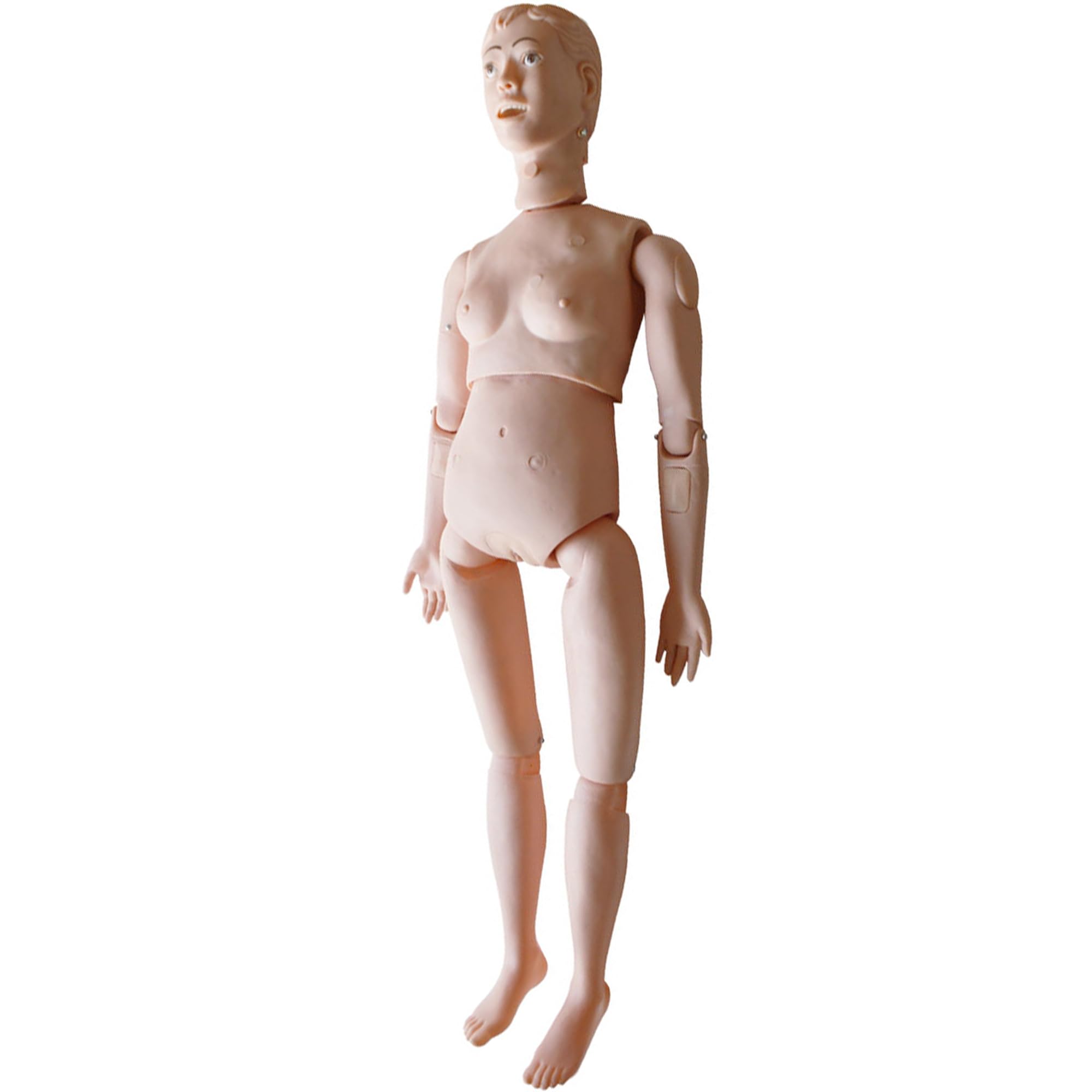 Teaching Human Manikin Patient Care Female Education Teaching Model Nursing Training Model Kits Female Training Mannequin Human Demonstration Manikin for Medical Mannequin Education