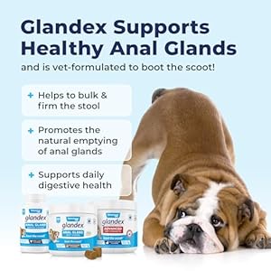 Vetniquelabsglandexanalglandsoftchewtreatswithpumpkinfordogsdigestiveenzymesprobioticsfibersupplementfordogsbootthescootadvancedstrengthduckbaconchewsvegetarian60ct Urban Country Home Decor Vetnique labs glandex anal gland soft chew treats with pumpkin for dogs digestive enzymes probiotics fiber supplement for dogs boot the scoot advanced strength duckbacon chews vegetarian 60 ct urban country home decor