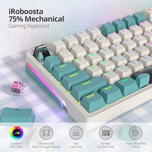 Teclado Gamer 75% Brown iRoboosta USB-C miniatura 3