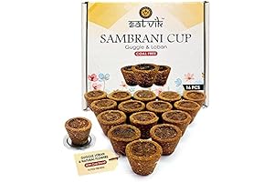 SATVIK Sambrani Cups: The Divine Aroma for Pooja Rituals