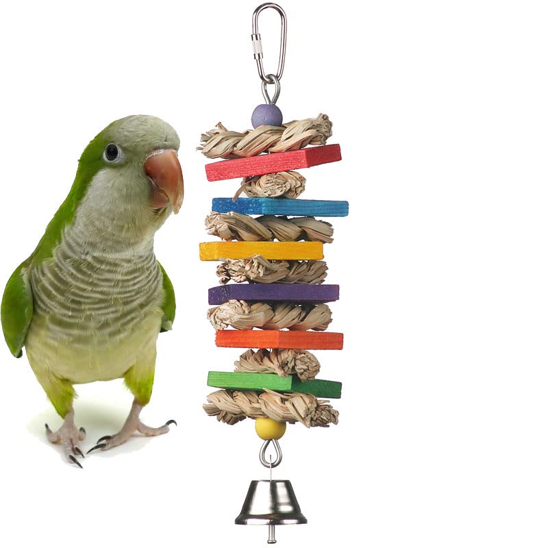 Super Bird Creations SB51095 - Seagrass Wafers Bird Toy for Medium Sized Birds, for Parrots, Conures, Cockatiels, Lovebirds, Budgies - Natural Chew Toy, Bird Cage Accessories - 9" x2.5 x1.5 (2 Pack)
