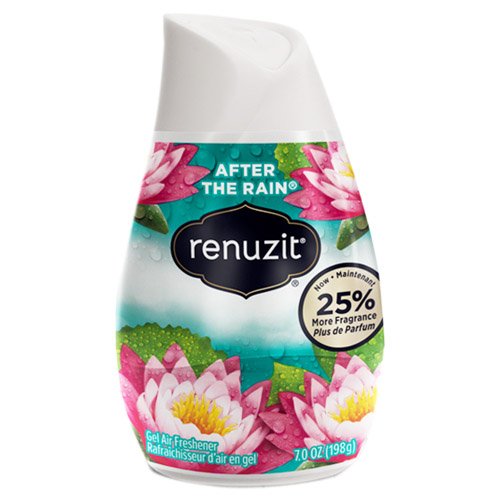 Buy Renuzit Adjustables Air Fresheners Solid Gel After the Rain Scent