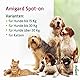 Amigard Spot-On 3er Pack für Katzen, gegen Zecken und Flöhe, 3X 1 Monat Schutz, pflanzliche Wirkstoffe, ohne Parfüm und Konservierungsmittel, vegan