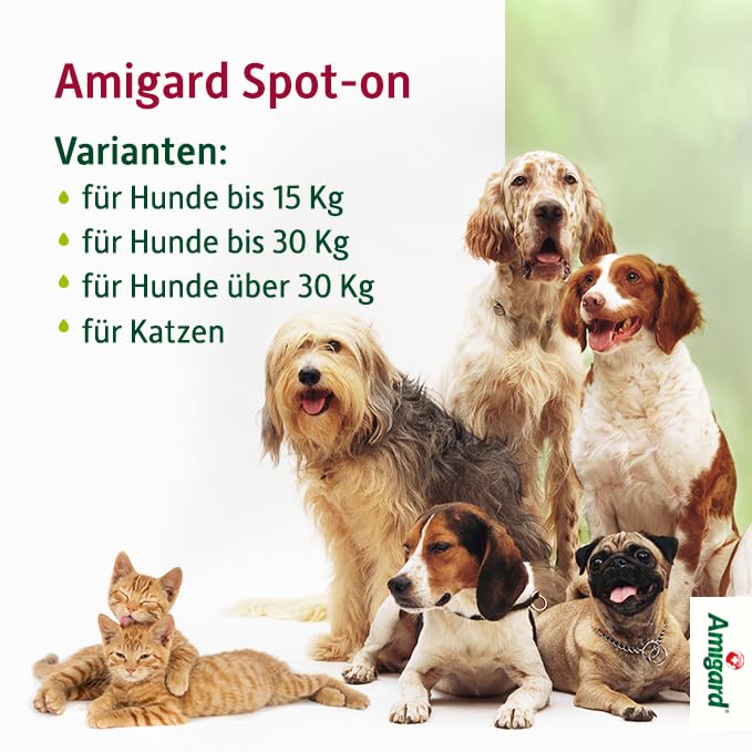 Spot On für mittlere Hunde zwischen 15 und 30 kg - Gegen Zecken und Flöhe - Pflanzlich ohne Duftstoffe und Konservierungsmittel - 3er Pack für 3 Monate Schutz