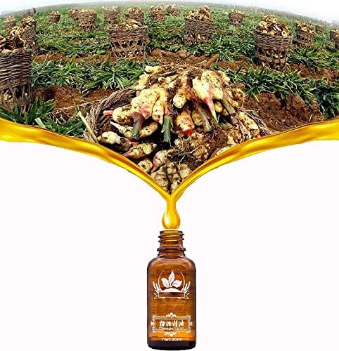 2 Pack Ginger Oil for Lymphatic Drainage, Vamotto Ginger Essential Oil for Swelling and Pain Skin Body Massage, Ginger Massage Oil Essential, SPA Ginger Essential Oils, Ginger Body Oil 30ML/Bottle