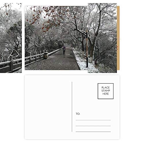 Cartes postales neige et route en lot de 20 paysages d'hiver
