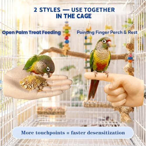 Hand-Shaped Parrot Perch, Finger Stand for Step Up Training — 사진 4