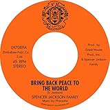 Bring Back Peace To The World Pt. I / Bring Back Peace To The World II [Disco de Vinil]