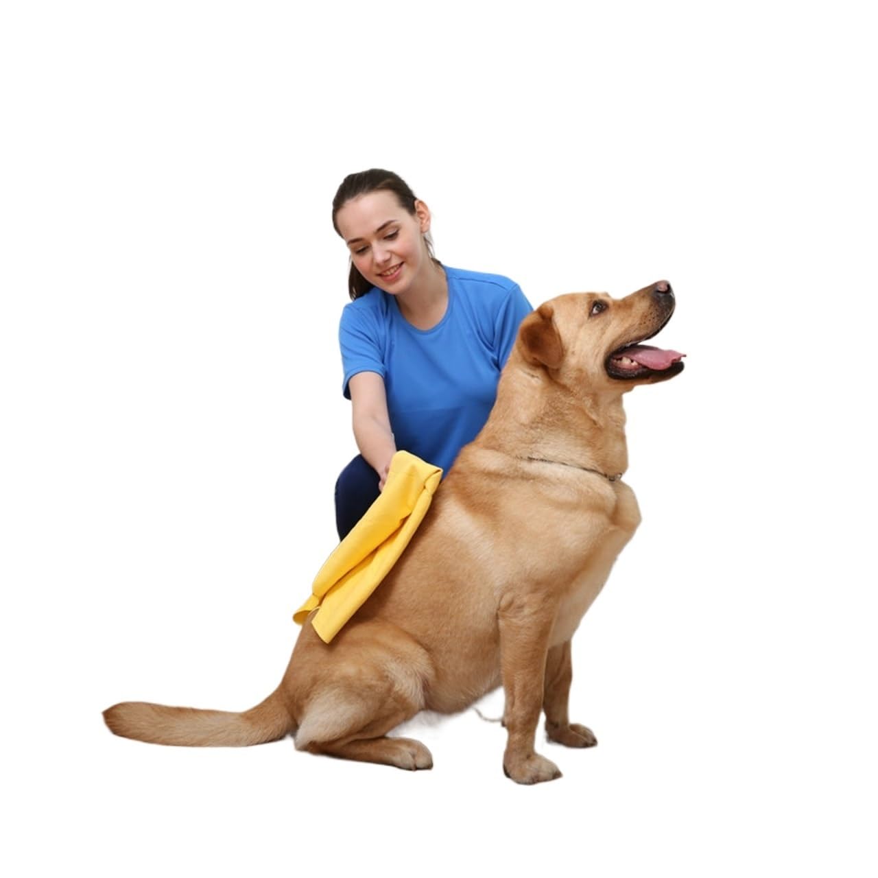 Wholesale Toallas absorbentes para mascotas, toallas multifuncionales de gamuza gruesa para baño de perros y gatos, antiadherentes al pelo (estampado de lunares verdes, estilo 2)