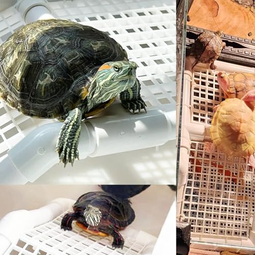 Image of StellarOcean Extra Large Turtle Basking Platform for Aquatic Turtles Dock Ramp Tanks Accessories 50 /70 /75 /125 Gal XL Turtle Docks for Basking Platforms red Ear Tortuga ramps (SW-13')