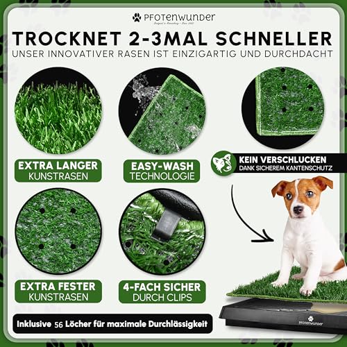 PFOTENWUNDER® Hundeklo XL 76x51cm + 2 Easy-Wash-Rasen, 1 Büchlein, Hunde-Toilette für kleine & große Hunde, Festes Gras & Anti-Rutsch, Welpen-Klo drinnen zuhause Gras Hundetoiletten Balkon Indoor WC