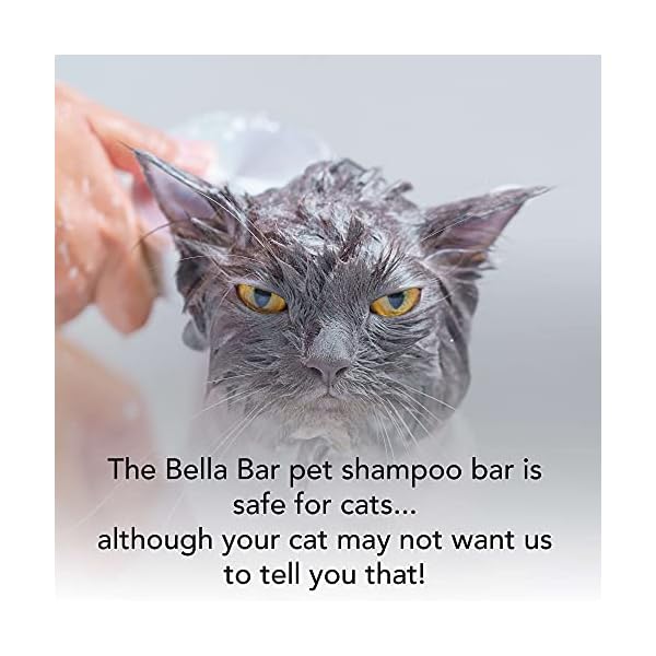 Lyness Bella Bar | Pet Shampoo Bar for Cats and Dogs | All-Natural Odor-Fighting Ingredients | Luscious Lather | Strawberry Scent | Packaged in A Reusable Tin Container | 65g Lyness Bella Bar | Pet Shampoo Bar for Cats and Dogs | All-Natural Odor-Fighting Ingredients | Luscious Lather | Strawberry Scent | Packaged in A Reusable Tin Container | 65g