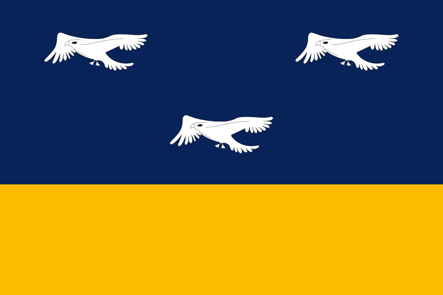 Drapeau Arapongas PR grand modèle pour pavoiser vos salles de réception et commémorations