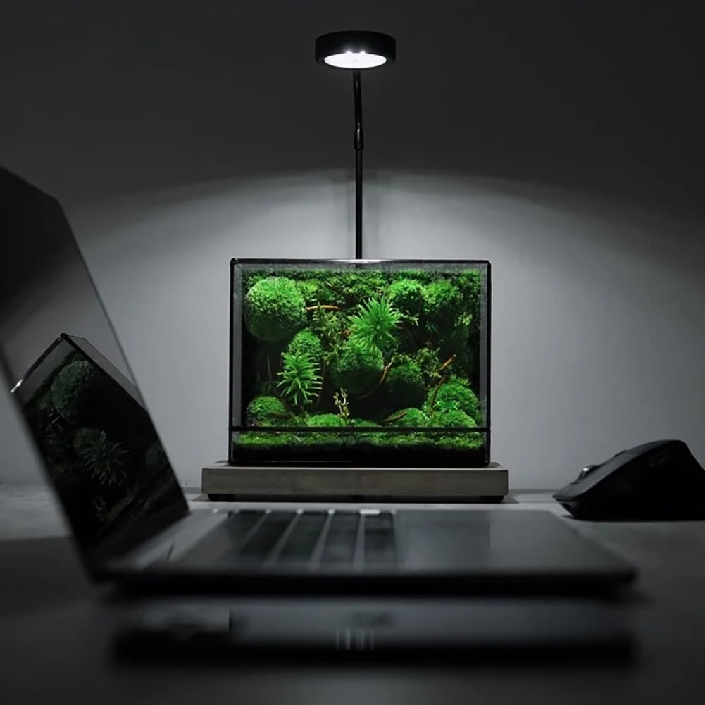 AVCULT Terrario Geométrico Hecho A Mano, Geométrico Maceta Hecha A Mano,Maceta Moderna De Cactus Suculentos, Decoración De Jardín para El Hogar Regalo (Solo Terario) (Color : 19.5 * 8 * 14.5 CM)