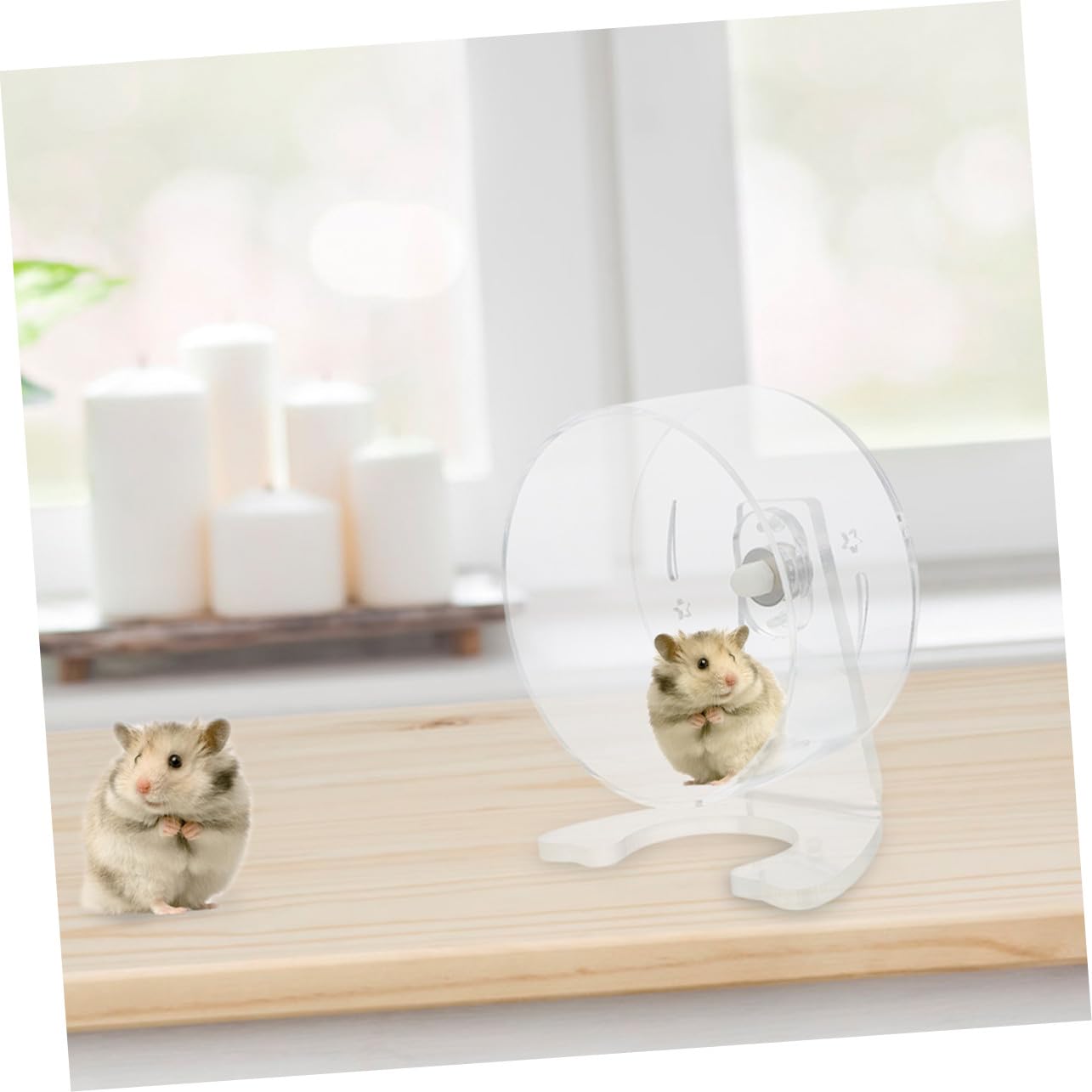 Rueda para Hámster con Soporte para Ratones Silenciosa para Ejercicio De Hámster para Mascotas Pequeñas Silenciosa Juguete De Ejercicio Silencioso para Jerbos