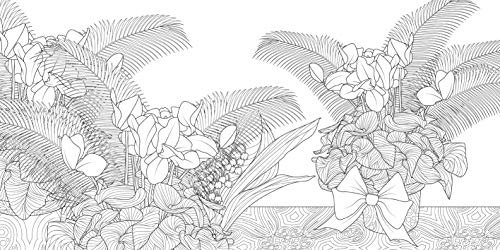 Wonderful Gardens: A Floral Adventure Coloring Book