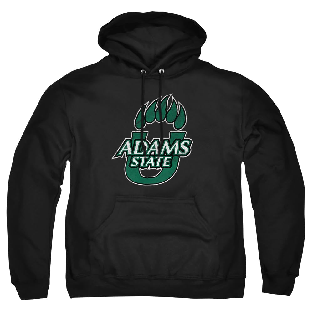 LOGOVISION Official Collegiate Distressed Primary Logo Adult Pullover Hoodie Collection — view 208