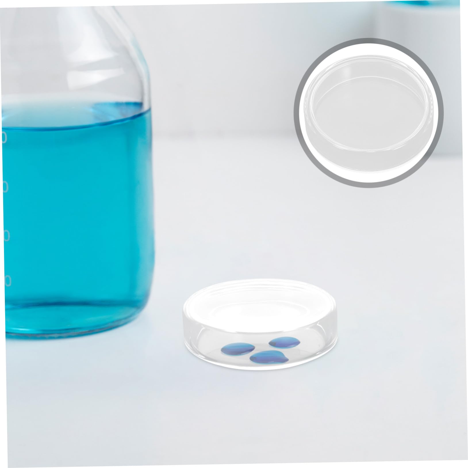 10 piezas Placas de Petri de Vidrio Borosilicato para Celular y Reutilizables Resistentes Altas Temperaturas Uso Educativo y Laboratorio