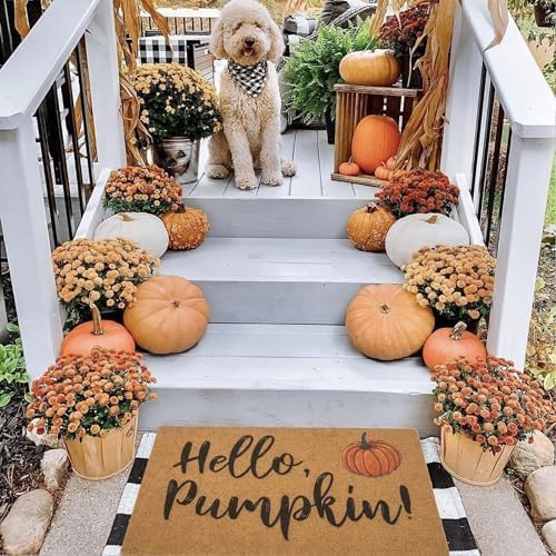 Miniatura 5 de IZUS Felpudos de bienvenida de Hello-Pumpkin, tapete antideslizante de fibra de coco para entrada, para cosecha de otoño, tapete para puerta