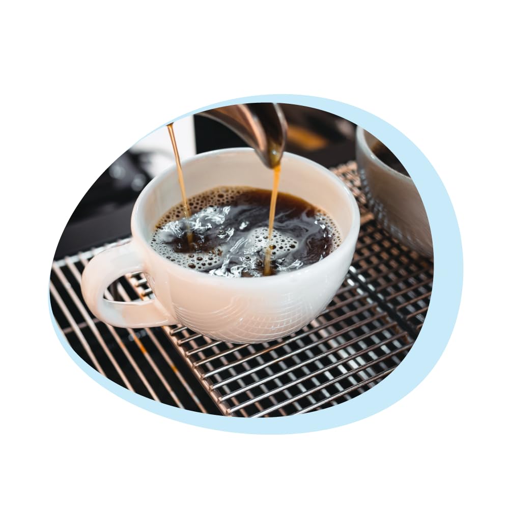 AllSpares Entkalker für Kaffeemaschinen geeignet für Delonghi EcoDecalk DLSC500 und AEG M3BICD200 (500 ml (6er Pack))