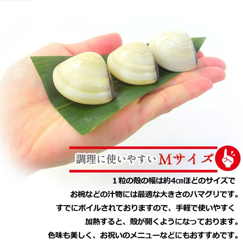 ハマグリページ Amazon.co.jp: 殻付きはまぐり 蛤 1Kg (500g×2) ボイル ハマグリ 真空