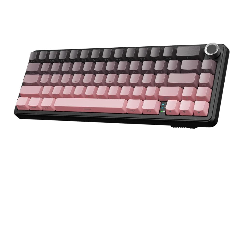Tastiera meccanica wireless a 66 tasti con manopola Tri Mode Guarnizione Hot Swap RGB 60% Layout PBT Keycap compatibile con X66(Pink)