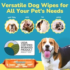   PET-N-PET-Dog-Grooming-Wipes-100-Plant-Based-Unscented-Pet-Wipes-Cleaning-Deodorizing-for-Dogs-100-Counts
