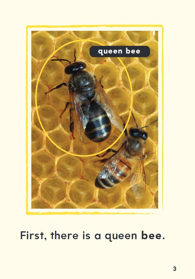 A Bee's Life (TIME FOR KIDS(r) Nonfiction Readers) - Image 3