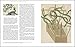 John Reeves: Pioneering Collector of Chinese Plants and Botanical Art