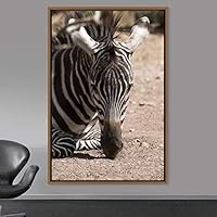 Framed Canvas Wall Art Zebra Animals Dramatic Farmhouse/Country Living Room Multicolor Photography Zebra - 16x24 inches
