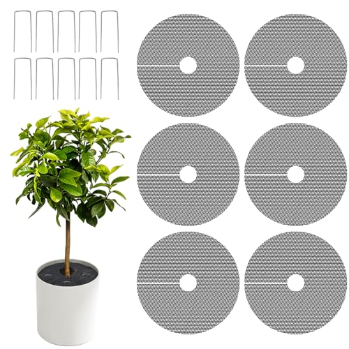 Bekeify 6 Pièces 40CM Grille de Protection pour Pot de Fleurs avec 10 Clous de Fixation Grille...