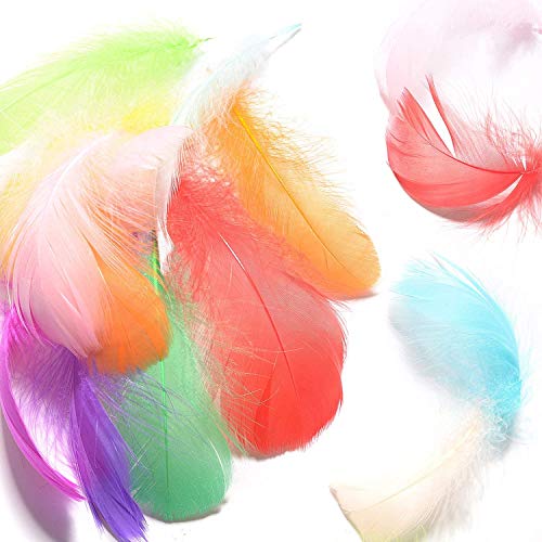 300Pcs Decor Feathers,Colorful Feathers For Diy Craft Wedding Home Party Decorations #TOP6