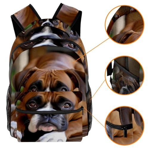 Travel Backpack,Work Backpack,Boxer Dog on the Grass,Back Pack3