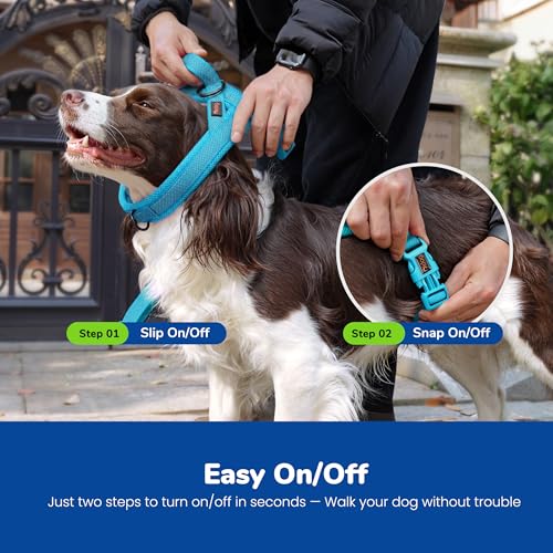 Image of Didog No Pull Dog Harness for Small Dogs, Breathable Mesh Padded, Blue, S