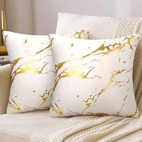 Housse Coussin Velours DakTou 40x40 Cover