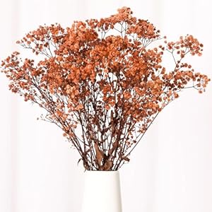 Babys Breath Dried Flowers Bouquet-17'' 1800+ Ivory Dry Flowers, Natural Gypsophila Branches for Wedding, Home Table Vase Decor, DIY Wreath Floral, Fall Thanksgiving Autumn Decoration (Brown, 2oz) Babys Breath Dried Flowers Bouquet 17 1800 Ivory Dry Flowers Natural Gypsophila Branches for Wedding Home Table Vase Decor DIY Wreath Floral Fall Thanksgiving Autumn Decoration Brown 2oz