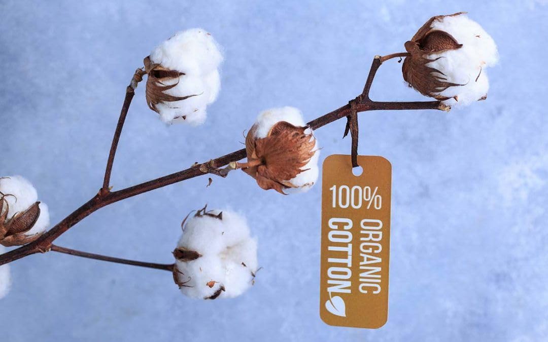 Funda para Hamaca BabyBjörn Balance Soft (SUSTITUYE tapicería Original), Hipoalergénica, Hipersuave, Transpirable. (Algodón Orgánico).