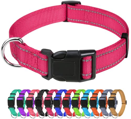 Collare Sicuro Notte Collare Cane HUNDEFREUND Neon Arancione - Morbido, Riflettente, Facile Da Pulire Collare Riflettente Sicurezza Notturna