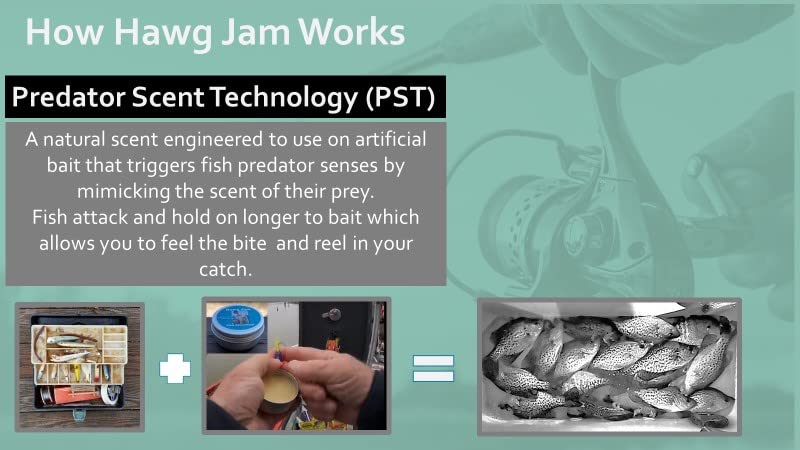 Capt. Dave's HawgWorks Hawg Jam Fish Attractant Tin
