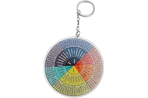 Feelings Wheel Round Mood Wheel Therapy Emotions Keychain