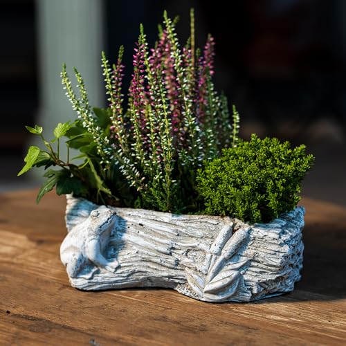 Zement Pflanzschale grau Baumstamm mit Frosch 12 x 21cm Blumentopf Deko-Schale bepflanzbar
