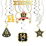 LINGTEER Happy 14th Birthday Swirls Streamers - Cheers to 14th Birthday Fourteen Years Old Bday Part