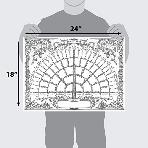 Palace Learning 3PK-FAMILY-TREE-V1 3 Pack - Family Tree Chart To Fill In- 6 Generation Genealogy Poster thumb #1